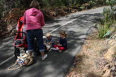 image from Ku-ring-gai Wildflower Garden – Sep 2011