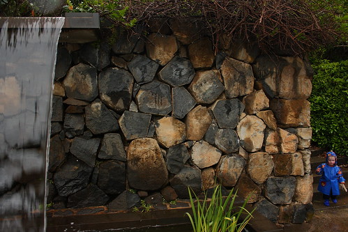 image from Basalt Columns at the Mt Tomar Botanic Gardens