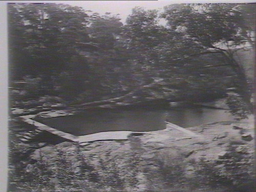 image from Swimming pool at the Cascades