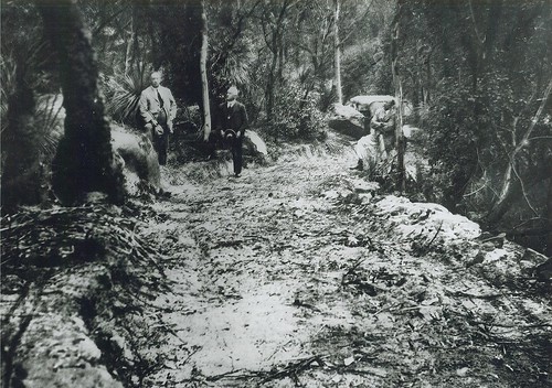 Bradfield Rd