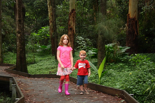 Bluegum ck boardwalk