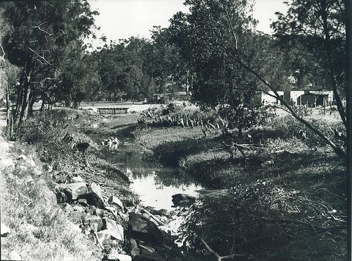 image from Little Blue Gum Creek Boardwalk