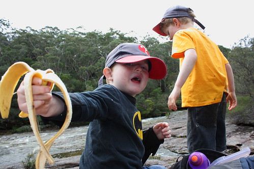 image from Scarlet Honeyeater