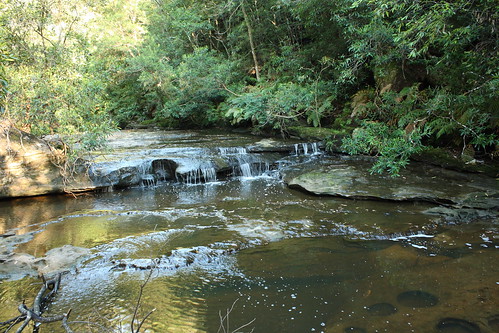 image from Expedition up Rocky Creek