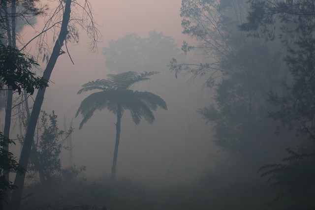Smoke on the trails